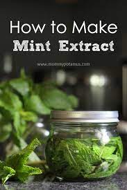 Homemade Mint Extract Recipe Recipe Mint Extract Herbalism Herbs