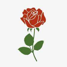 Hand Drawn Red Rose Flower Commercial Poster Element Red Rose Clipart Hand Painted Red Png And Vector With Transparent Background For Free Download Rose Petals Falling Flower Drawing Flower Frame