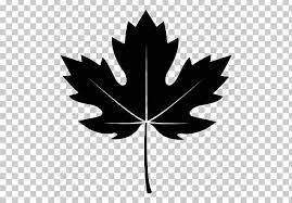 Maple trees (acer spp.) provide cooling summer shade across u.s. Sycamore Maple Leaf Tree Computer Icons Autumn Png Clipart Autumn Autumn Leaf Color Black And White