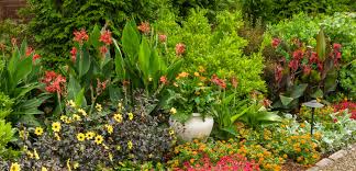 Maybe you would like to learn more about one of these? 10 Red Flowers For Hummingbirds Proven Winners