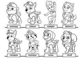 Meet the characters that are fighting for the zoo's kingdom! Zooba Ausmalbilder Kostenlos Ausmalbilder Rund Um Tiere Im Zoo