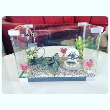 for sale glass aquarium size 46x30x30 good condation price 13 bd للبيع حوض سمك زجاج مقاس 46x30x30 بحالة ممتازة ال container takeout container food