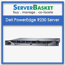 Dell Poweredge R230 Rack Server