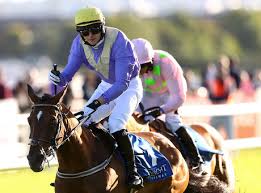 Image result for Handic Micman