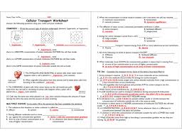 Determine the tonicity relationships when given the concentrations of solutes of multiple solutions. Cell Membrane And Tonicity Worksheet Answers Promotiontablecovers