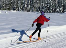 Maybe you know it as langlaufing or nordic skiing: Biathlon In The Winter Olympics Dummies
