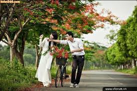 Hình ảnh đẹp về hoa phượng vĩ đẹp đỏ thắm sân trường | VFO.VN