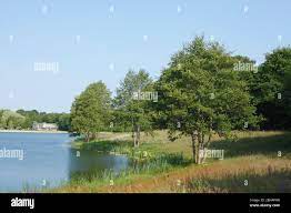 Hartensbergsee, Goldenstedt, Vechta district, Lower Saxony, Germany, Europe  Stock Photo - Alamy