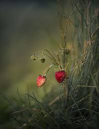 Are You Asking Me If I M Going Somewhere Or Letting Me Know You Are Ugh I Know I Think I Am In Nature Photography Beautiful Nature Pictures