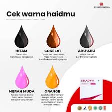 Warna darah haid yang ini bikin susah hamil?! S3indonesia Byl Tamu Bulanannya Wanita Atau Haid Itu Facebook