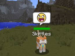 A dog responds to sit/up/ attack commands and is very effective against mobs. Minecraft Pet Cats How To Tame And Feed Them Levelskip
