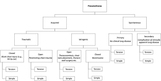 Spontaneous Pneumothorax Pathophysiology Clinical Presentation And Diagnosis Sciencedirect
