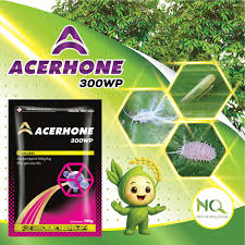 Acerhone 300WP