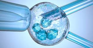 Its first baby was louise brown, known as the first test tube baby. Peste 240 De BebeluÈi NÄscuÈi La BucureÈti Prin Programul De Fertilizare In Vitro O ÈansÄ Pentru Cuplurile Infertile Ro Health Review