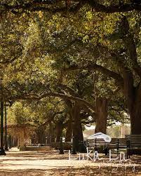 Pin By Shirley Barnes On I Miss Home Photography Locations Houston Houston Photography Places To See