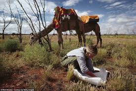 That too, a man who looks like the lady i used to serve. Photographs Capture Robyn Davidson S 1700 Mile Trek Across Australia Daily Mail Online