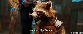 Ain T No Thing Like Me Except Me This Should Be My New Motto Rocket Raccoon Guardians Of The Galaxy Raccoon Funny