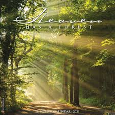 2021 Monthly Wall Calendar Heaven Has A Forest Willow Creek Press In 2020 Nature Photography Trees Forest Landscape Winter Scenery