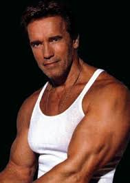 In the most peak years this parameter was equal to 56 cm. Arnold Schwarzenegger Biography Photos Facts Family Age Training Height And Weight 2021 Zoomboola