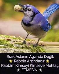 Hedef 2023 Adli Kullanicinin Guzel Sozler Panosundaki Pin 2020 Otlar Dualar Ilham Verici Sozler