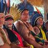 Indigenous meaning, definition, what is indigenous: 1