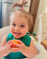 Contact Us — Your Site Title