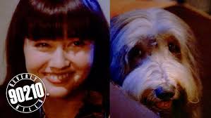 Brenda Loses Her Stray Dog!