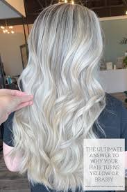The Ultimate Answer To Why Blonde Hair Turns Yellow Or Brassy Beauty And Lifestyle Blog Ally Samouce Hair Blonde Hair White Blonde Hair