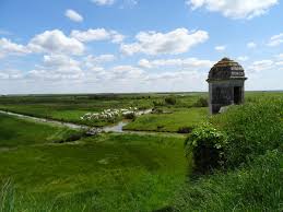 Katyaa nude she honestly wants to bring you joy and enjoy