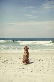 Pin On Down By The Water