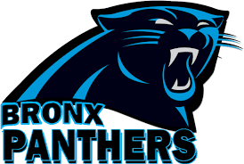 The carolina panthers logo has carolina blue, black, and silver colors and a fierce black panther with its mouth open. Panther Clipart Pioneer Carolina Panthers Address Logo Png Download Full Size Clipart 270191 Pinclipart