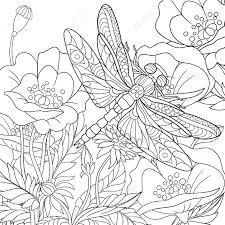 Keep your kids busy doing something fun and creative by printing out free coloring pages. Stylized Cartoon Dragonfly Insect Is Flying Around Poppy Flowers Sketch For Adult Antistress Coloring Page Doodle Floral Design Elements For Coloring Book Royalty Free Cliparts Vectors And Stock Illustration Image 53244392