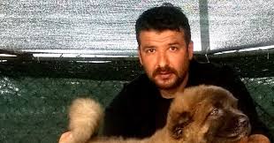 kafkas coban satilik kafkas coban kafkas coban ilanlari kafkas coban yavrulari kafkas coban ilani coban kopegi kopek coban kopekleri