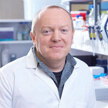 In vivo imaging of partially rever ...