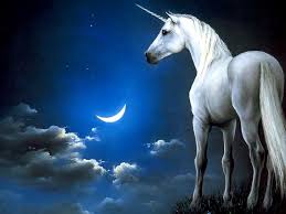 We did not find results for: Free Download Imagini De Fundal Cu Unicorni Poze Super Misto 1024x768 For Your Desktop Mobile Tablet Explore 70 Unicorn Desktop Background Unicorn Wallpapers Unicorn Background Unicorn Wallpaper
