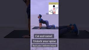 When the meeting is locked: Unlock Your Spine Mobility Issues In Spine How To Cure Back Pain Shorts Youtube