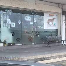 | veterinary services for dogs and cats intensive care service. Healing Rooms 7 Tips From 260 Visitors