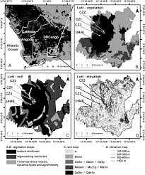 Image result for Annickia lebrunii