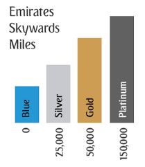 fast track to emirates skywards status with select fares