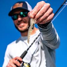 swiftfish • Instagram photos and videos