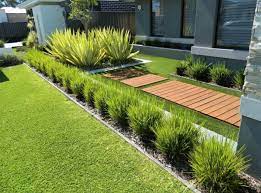 Rumput jepang memiliki ciri daunnya yang kurus tumbuh rapat. Cara Menanam Rumput Taman Jepang Gajah Mini