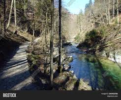 We did not find results for: Vintgar Gorge Bled Image Photo Free Trial Bigstock