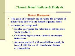 Ckd can also cause other health problems. Renal Diseases