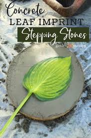 We showed you several projects to make concrete planters that are perfect to use outdoors. Diy Leaf Print Stepping Stones Garden Therapy
