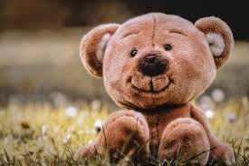 Though most stuffed bears have ample, squishy bodies that might suggest they've just eaten, their snoots only sniff out smiles, and padded paws only. The Teddy Bear Project Home The Teddy Bear Project