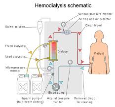 Ncp Nursing Care Plan Renal Dialysis Lifenurses