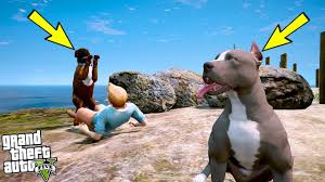 Yavru Pitbull Kucuk Cocugu Kotu Rottweiler Dan Kurtariyor Gta 5 Youtube