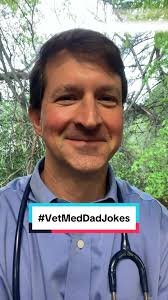 Sssssorry, not sssssorry. 😏🤷‍♂️ #VetMedDadJokes #veterinarymedicine  #vetmed #vetmedlife #veterinarian #veterinariansoftiktok #vettech  #vettechprobs #vettechtok #fyp #foryourpage