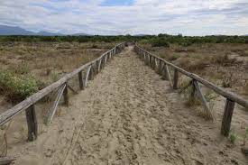 Massaciuccoli (Lago di) da Viareggio, anello - Mountain Bike | Giro in  Mountain Bike a Viareggio, Toscana - Gulliver La guida outdoor