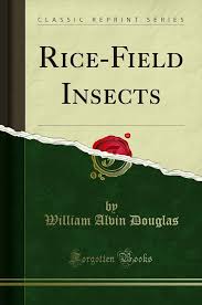 Rice-Field Insects (Classic Reprint) : Douglas, William Alvin: Amazon.de:  Books